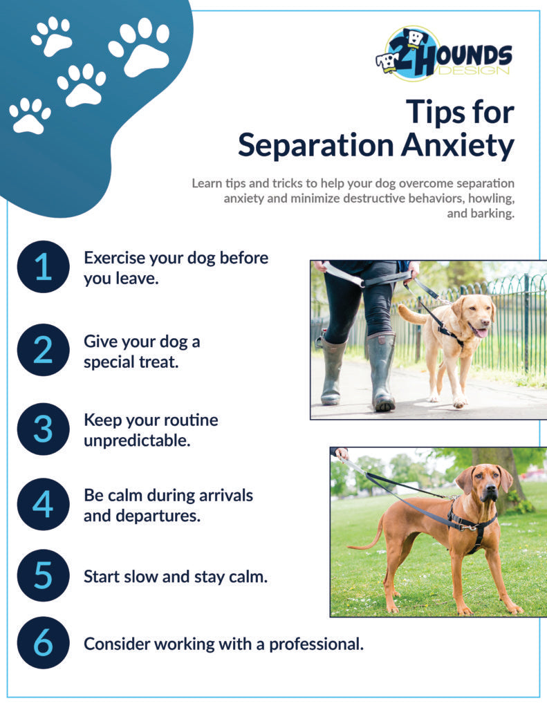 How to Help your Dog with Separation Anxiety 2 Hounds Design